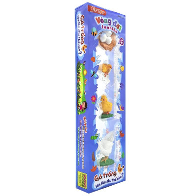 Đồ Chơi Mô Hình Vòng Đời Tự Nhiên - Gà Trống Lớn Lên Như Thế Nào? - Firstar DK81255