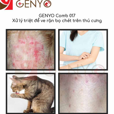 Lược tuốt ve rận bọ chét ve ghẻ cho thú cưng – Genyo comb 017 ( một cái, giao màu ngẫu nhiên )