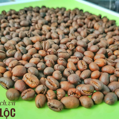 Cà Phê Sạch Cafesach Đắk Lộc 4, Cà Phê Sạch vì Sức Khỏe, Đặc Sản Buôn Mê Thuột