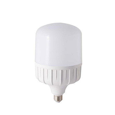 Bóng đèn LED Bulb Trụ  Rạng Đông Model: LED TR100N1/30W SS