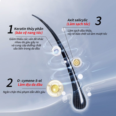 Dầu gội sạch gàu Pharma 21 Nhật Bản Dầu gội đầu chống gàu, sạch gàu & hết ngứa da đầu - Chai 600ml