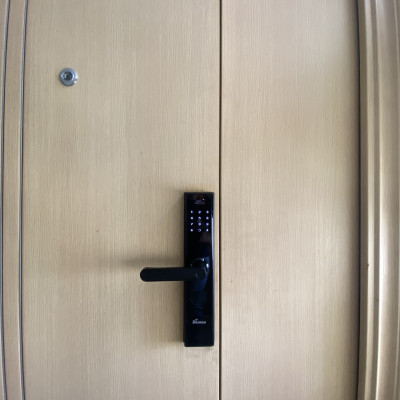 Khóa vân tay thông minh DEMAX SL638 BN