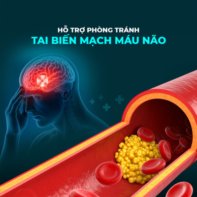 Viên uống bổ não, tăng cường trí nhớ Powergra Neuro Balance - Hộp 60 viên