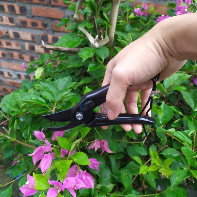 Kéo cắt tỉa cành cây Echo Metal 180-45mm nhỏ gọn tiện lợi - Hàng nội địa Nhật Bản. ( Giao màu ngẫu nhiên )