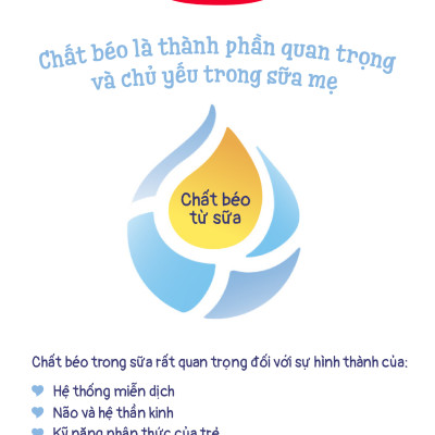 Combo 2 Sữa bột công thức Semper Bifidus số 1 400g/hộp