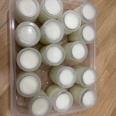 Máy Làm Sữa Chua Hương Vị Truyền Thống Song Anh - Hàng Chính Hãng