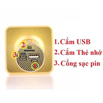 Loa Bluetooth Karaoke - Loa xách tay mini chất liệu nhựa cao cấp, công suất 6W và micro không dây - Hàng nhập khẩu