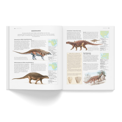 Sách - Bách Khoa Khủng Long Toàn Tập - Bìa Cứng