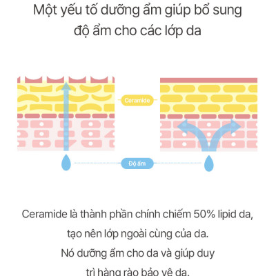 Kem Dưỡng Ẩm MESABLUE REFRESING BLUE GEL 80ml