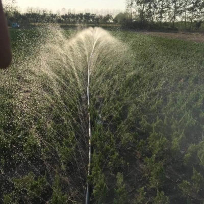 dây phun mưa 5 lỗ chéo phi 34mm