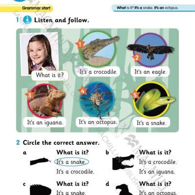 Sách ngoại văn: American Grammar Goals: Student