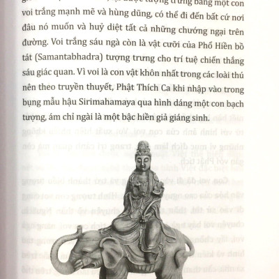 Tri Thức Bách Khoa - Các Loài Voi - Hổ - Sư Tử - Gấu