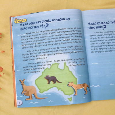 Combo 8 Cuốn Hỏi Nhỏ Biết To