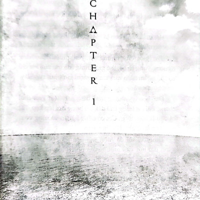 Tiểu Thuyết One Piece - Chuyện Về Ace - Tập 1 - Băng Hải Tặc Spade Ra Đời