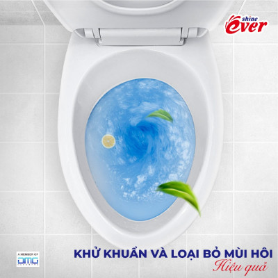 Combo 10 vỉ viên treo bồn cầu hương Chanh tặng kèm 4 vỉ hương Lavender