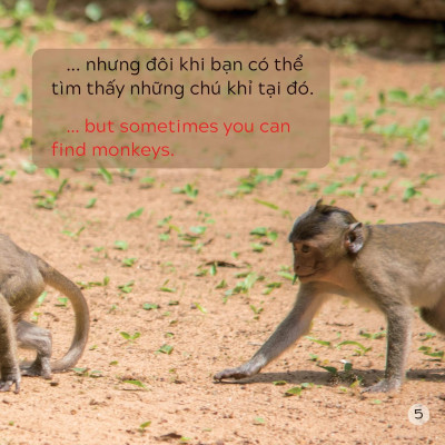 Song Ngữ Việt Anh - Khám Phá Thế Giới - Ở Vùng Đất Khô Cằn - In A Dry Land
