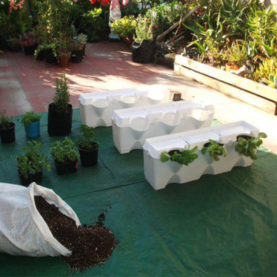 Khung Module Rau Ban Công (1M2 xếp ngang Có Tưới Nhỏ giọt bán tự động) dạng Đứng VerticalMinigarden nhập khẩu Bồ Đào Nha với 8 chậu kèm 2 Tray hứng nước và bộ dây tưới nhỏ giọt lắp sẵn