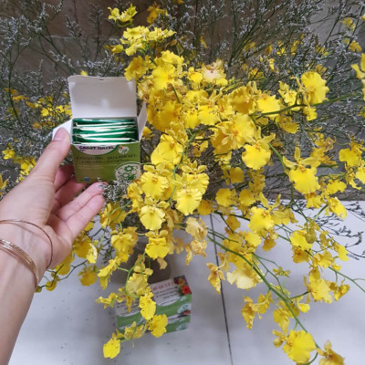 Dung Dịch Cắm Hoa Lan Vũ Nữ Lâu Tàn dạng bột của Israel (Combo 100 gói) giúp hoa lan nở đến nụ cuối cùng và hạn chế đen gốc hoa