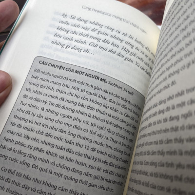 (Combo 3 cuốn) CÙNG HEADSPACE – THIỀN VÀ CHÁNH NIỆM  - CÙNG HEADSPACE – ĂN CHÁNH NIỆM - CÙNG HEADSPACE MANG THAI CHÁNH NIỆM - Andy Puddicombe - Thái Hà – NXB Lao Động