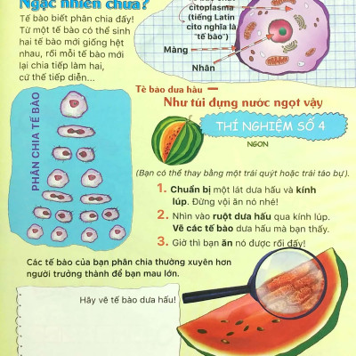 Tại Sao? Sao Tim Đập Và Dạ Dày Réo?