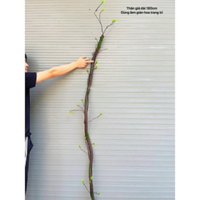 Thân cây giả trang trí - Dài từ 150 đến 180 cm - Nhiều mẫu - Thân cây leo tường - Cây giả, hoa lụa decor giống thật 99% - Làm khung cho dây leo hoa hồng ban công rất đẹp
