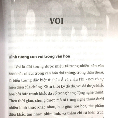 Tri Thức Bách Khoa - Các Loài Voi - Hổ - Sư Tử - Gấu
