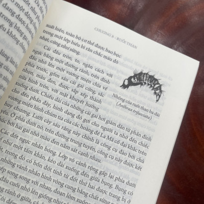 (Ấn bản đầy đủ nhất của Jean-Henri Fabre) CÔN TRÙNG KÝ – Tập 3 - Jean-Henri Fabre - An Lạc Group dịch – Huy Hoàng Bookstore – bìa mềm