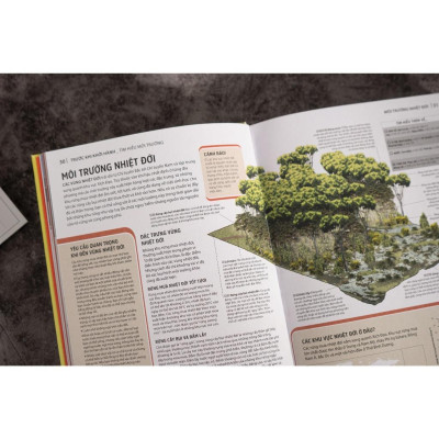 Sách - Cẩm Nang Sinh Tồn - Kỹ Năng Sống Còn Cho Các Cuộc Phiêu Lưu Nơi Hoang Dã - Đinh Tị Books