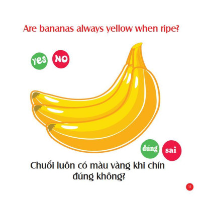 Sách - Mẹ Hỏi Bé Trả Lời - Tập 4 - Song Ngữ Anh Việt - Rèn Luyện Trí Thông Minh, Phát Triển Ngôn Ngữ Cho Bé - Việt Thư