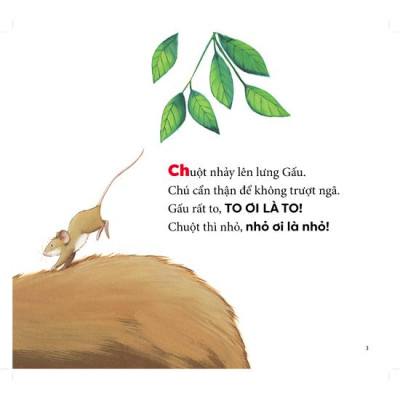 Cùng gấu khám phá -The Bear Books - Gấu to chuột nhỏ - Big bear, small mouse