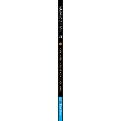 Sách Hạt Giống Tâm Hồn 14: Góc Nhìn Diệu Kỳ Của Cuộc Sống (Tái Bản 2020)