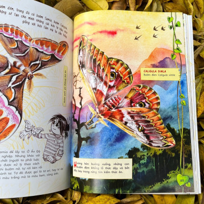 Sách - Bộ Sinh vật học kỳ thú - Những cư dân tí hon của rừng Việt Nam (Trọn bộ 02 cuốn) - Nhã Nam Official