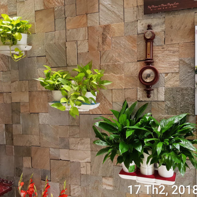 Bộ Chậu Trồng Cây Văn Phòng Thông Minh Tự Động Tưới Basic S Nhập Khẩu Châu Âu, Giúp Cây Phát Triển Tốt