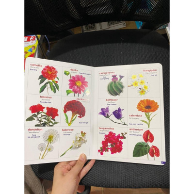 Combo Bách Khoa Bằng Hình Đầu Tiên Cho Bé Theo Chủ Đề - Song ngữ Anh Việt - Quét mã QR nghe đọc