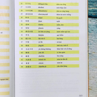 Sách - Combo 2 sách 999 bức thư viết cho chính mình song ngữ Trung việt có phiên âm MP3 nghe + Du lịch Việt Nam Ẩm thực và cảnh điểm (in màu, có audio nghe, giấy ảnh c2)+DVD tài liệu