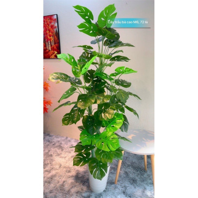 Cây trầu bà lá xẻ giả - Tặng chậu, xốp, cỏ hoặc rêu trải bề mặt - Cây giả, hoa lụa trang trí nhà cửa