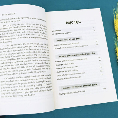 Trạm Đọc | Trí Tuệ Xúc Cảm