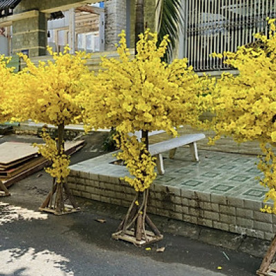 Cây mai giả trang trí Tết 2025 SHIP HOẢ TỐC HCM cây mai lắp ráp cao 1m5 2m mai Vàng nhận đặt mẫu theo yêu cầu