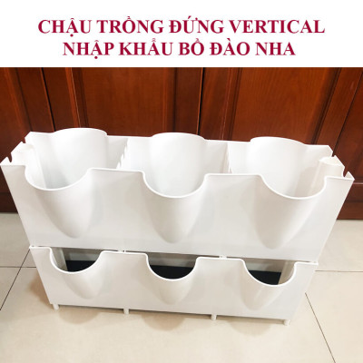 CHẬU TRỒNG RAU BAN CÔNG THẲNG ĐỨNG NÔNG NGHIỆP CÔNG NGHỆ CAO BỒ ĐÀO NHA