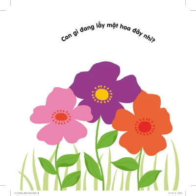 Sách Chuyển Động Thông Minh Đa Ngữ Việt - Anh - Pháp: Khu Vườn Bí Mật - Secret Garden - Le Jardin Secret