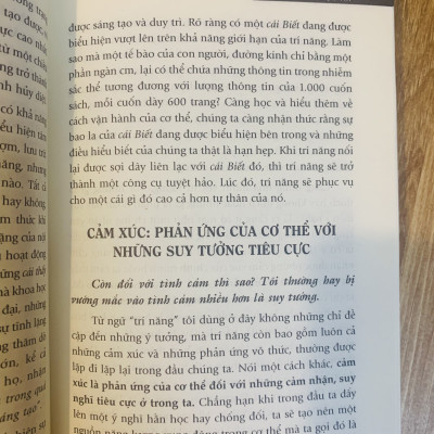 Sách - Sức Mạnh Của Hiện Tại
