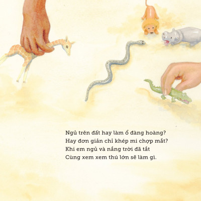 Ngủ Ấm Ngủ Êm