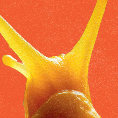 Bách Khoa Thư Britannica Dành Cho Trẻ Em - Cuốn Sách Khổng Lồ Giải Đáp 100++ Câu Hỏi Tại Sao Hóc Búa