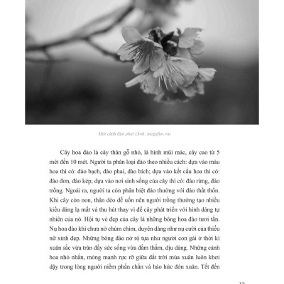 Những Bài Văn Mẫu Lớp 8 (Tập 2)