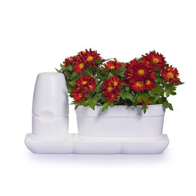 Combo 2 Bộ Chậu Tự Dưỡng Trồng Rau sạch, Trồng Cây Xanh Để Bàn Basic S & UNO nhập khẩu Bồ Đào Nha dành cho người yêu rau và cây tại nhà 