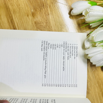 Đại Cương Thiền Quán -Tuệ Sỹ