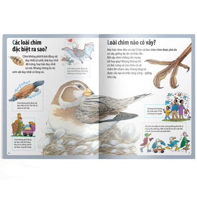 Em Muốn Biết Vì Sao Ngỗng Trời Bay Xa Và Những Câu Hỏi Khác Về Chim 
Chóc