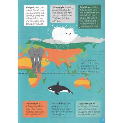 Khám phá rừng già động vật hoang dã - Bản Quyền