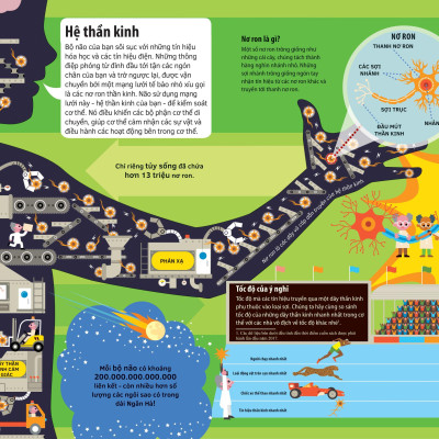 Tớ Yêu Khoa Học - The Adventure Of Your Brain - Chuyến Phiêu Lưu Của Bộ Não - Bìa Cứng