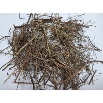 cây chó đẻ răng cưa phơi khô [Diệp Hạ Châu]